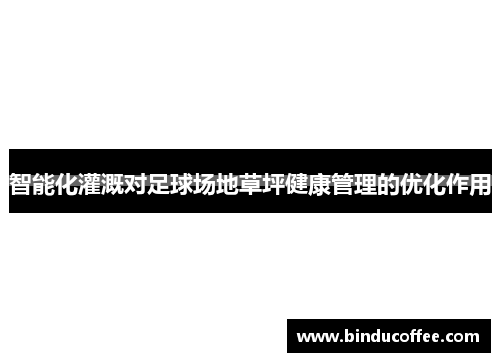 智能化灌溉对足球场地草坪健康管理的优化作用